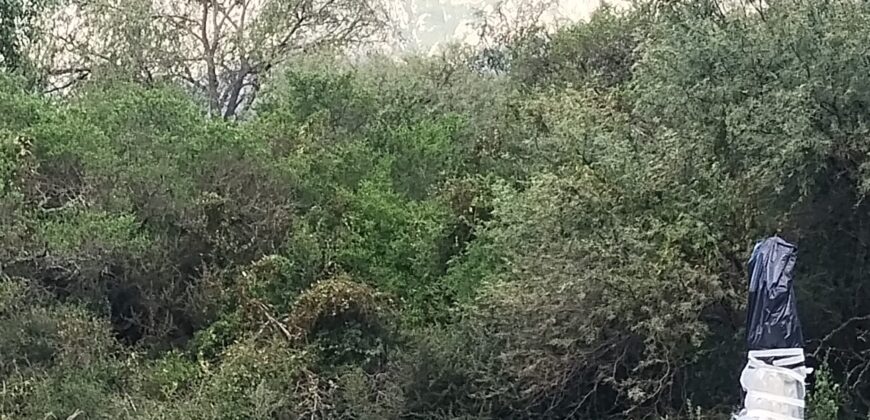 Linda casa 2 dormitorios con piscina e hidromasaje en Las Rabonas