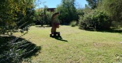 Importante inmueble con casa principal, departamentos, piscina e impactantes vistas en Nono