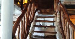 Importante inmueble con casa principal, departamentos, piscina e impactantes vistas en Nono