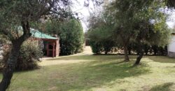 Complejo de 6 cabañas, casa, pileta en «El Alto» de Nono