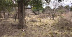 Terrenos en venta en «El Alto» Nono con lindas vistas