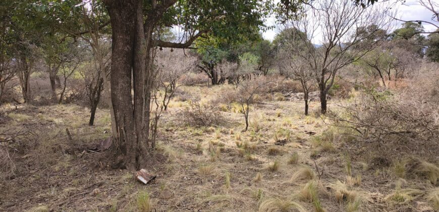 Terrenos en venta en «El Alto» Nono con lindas vistas