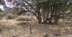 Terrenos en venta en «El Alto» Nono con lindas vistas