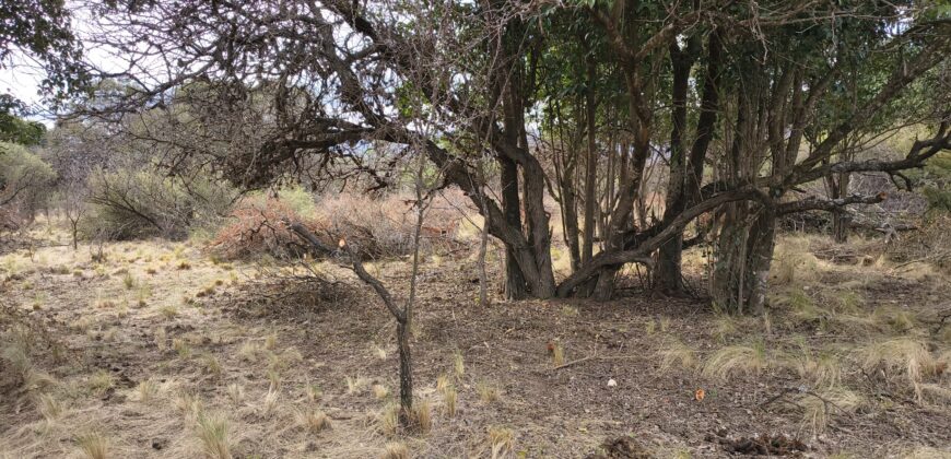 Terrenos en venta en «El Alto» Nono con lindas vistas