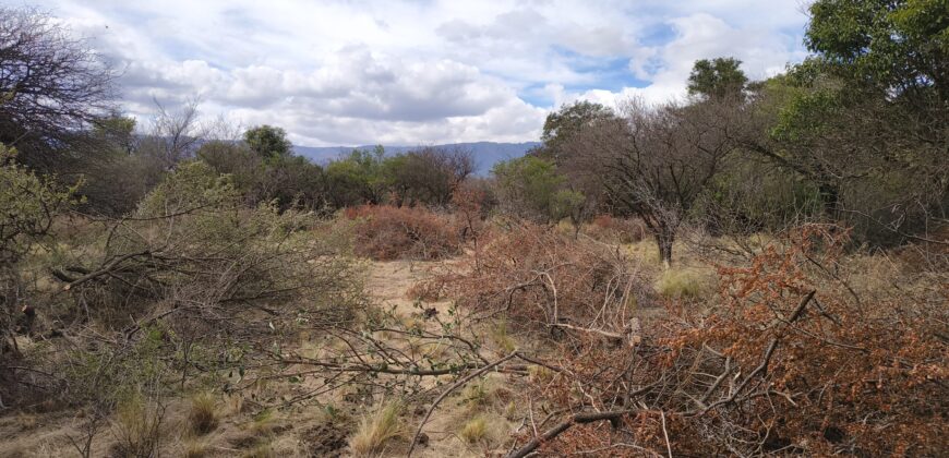 Terrenos en venta en «El Alto» Nono con lindas vistas
