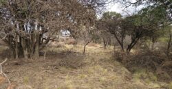 Terrenos en venta en «El Alto» Nono con lindas vistas