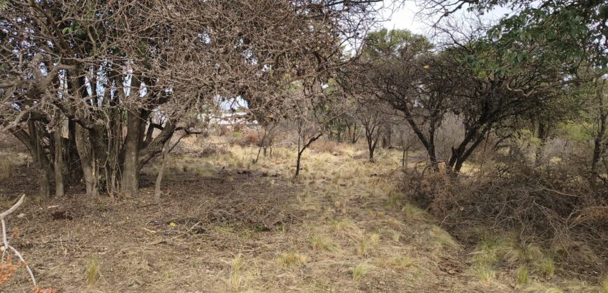 Terrenos en venta en «El Alto» Nono con lindas vistas