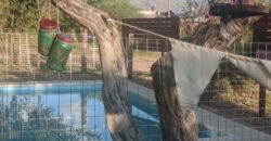 Complejo de cabañas con 2 piletas en Arroyo de los Patos