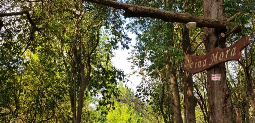 Complejo de cabañas con costa de río en «El Alto» Nono